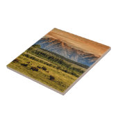 Carreau Bison au lever de soleil (Côté)