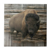 Carreau Bison de bois (Devant)