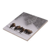 Carreau Bison en hiver (Côté)