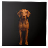 Carreau Black 4 Luxe Tile with Agile Vizsla Dog (Devant)