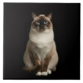 Carreau Black 4 Luxe Tile with Birmanese Cat (Devant)