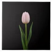Carreau Black 4 Luxe Tile with Blush Pink Tulip (Devant)