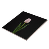 Carreau Black 4 Luxe Tile with Blush Pink Tulip (Côté)