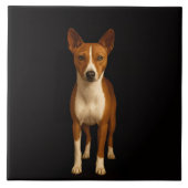 Carreau Black 4 Luxe Tile with Classy Basenji Dog (Devant)