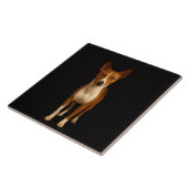Carreau Black 4 Luxe Tile with Classy Basenji Dog (Côté)