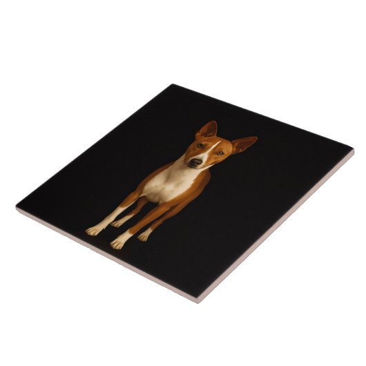Carreau Black 4 Luxe Tile with Classy Basenji Dog (Côté)