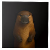 Carreau Black 4 Luxe Tile with Elegant Platypus (Devant)