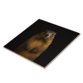 Carreau Black 4 Luxe Tile with Fluffy Marmot (Côté)