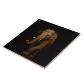 Carreau Black 4 Luxe Tile with Gentle Indian Elephant (Côté)