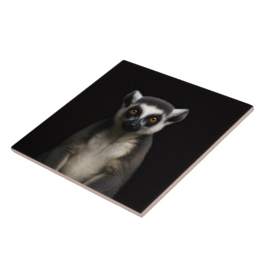 Carreau Black 4 Luxe Tile with Gentle Lemur (Côté)
