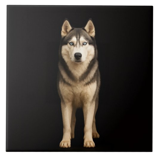 Carreau Black 4 Luxe Tile with Icy Elite Husky (Devant)