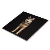 Carreau Black 4 Luxe Tile with Icy Elite Husky (Côté)