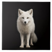Carreau Black 4 Luxe Tile with Ivory Arctic Fox (Devant)