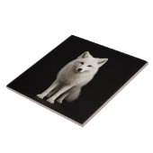 Carreau Black 4 Luxe Tile with Ivory Arctic Fox (Côté)