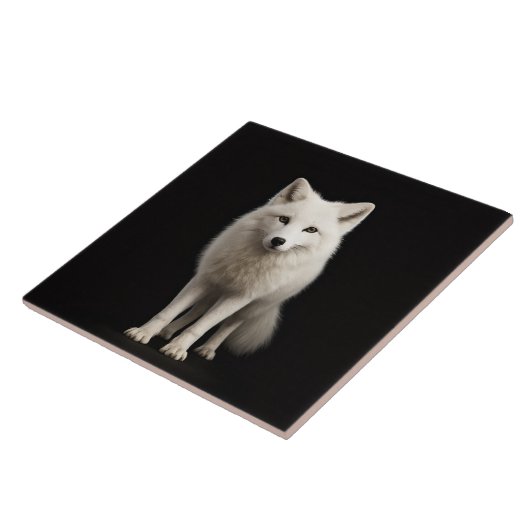 Carreau Black 4 Luxe Tile with Ivory Arctic Fox (Côté)