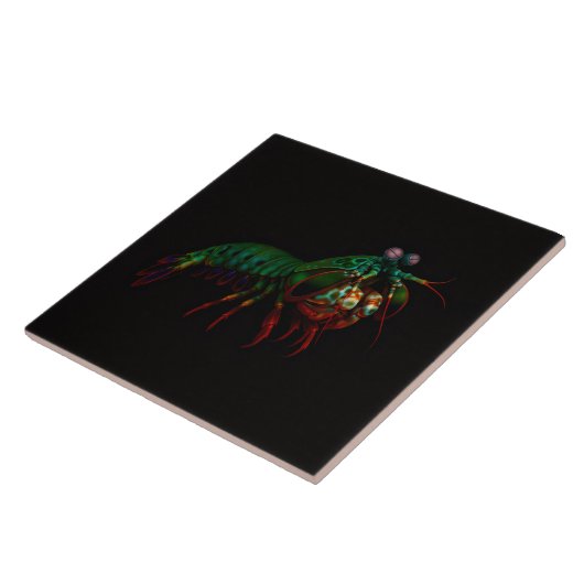 Carreau Black 4 Luxe Tile with Mantis Shrimp (Côté)