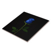 Carreau Black 4 Luxe Tile with Midnight Blue Rose (Côté)