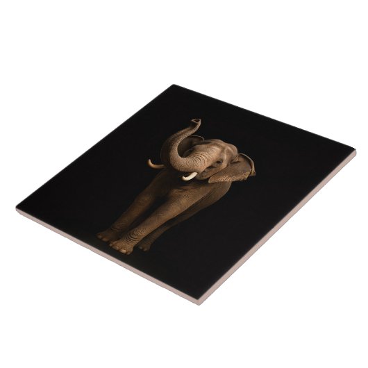 Carreau Black 4 Luxe Tile with Mighty Elephant (Côté)