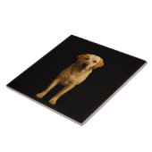 Carreau Black 4 Luxe Tile with Minimalist Labrador (Côté)