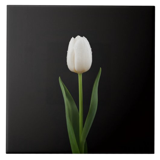 Carreau Black 4 Luxe Tile with Pearl White Tulip (Devant)