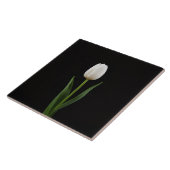 Carreau Black 4 Luxe Tile with Pearl White Tulip (Côté)