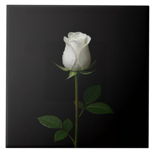Carreau Black 4 Luxe Tile with Pure White Rose (Devant)