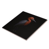 Carreau Black 4 Luxe Tile with Reddish Egret (Côté)