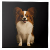 Carreau Black 4 Luxe Tile with Refined Toy Papillon (Devant)