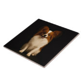 Carreau Black 4 Luxe Tile with Refined Toy Papillon (Côté)
