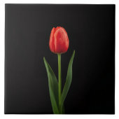 Carreau Black 4 Luxe Tile with Ruby Red Tulip (Devant)