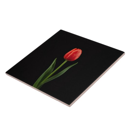 Carreau Black 4 Luxe Tile with Ruby Red Tulip (Côté)