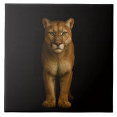 Carreau Black 4 Luxe Tile with Silent Prime Puma (Devant)