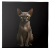 Carreau Black 4 Luxe Tile with Sphynx Cat (Devant)