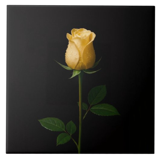 Carreau Black 4 Luxe Tile with Sunlit Yellow Rose (Devant)