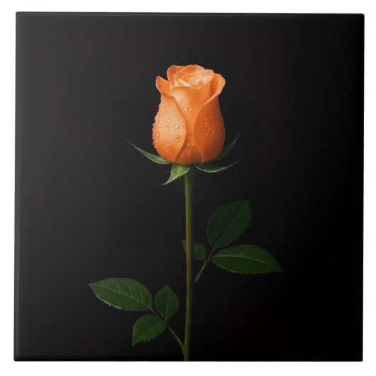 Carreau Black 4 Luxe Tile with Sunset Orange Rose (Devant)