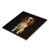 Carreau Black 4 Luxe Tile with Sweet Cavalier Spaniel (Côté)