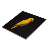 Carreau Black 4 Luxe Tile with Tropical Golden Parakeet (Côté)