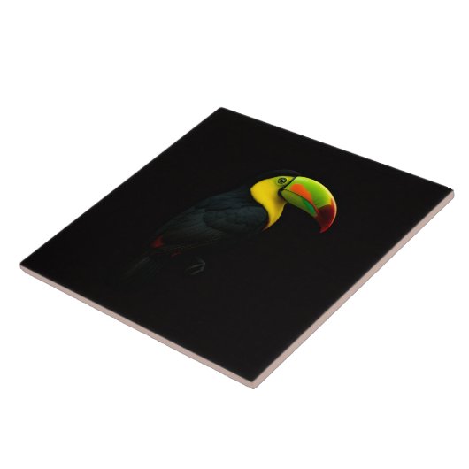 Carreau Black 4 Luxe Tile with tropical Keel Billed Tucan (Côté)