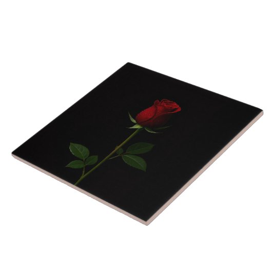 Carreau Black 4 Luxe Tile with Velvet Red Rose (Côté)