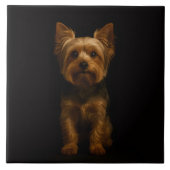 Carreau Black 4 Luxe Tile with Yorkshire Terrier (Devant)