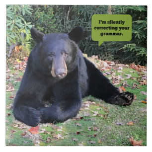 Carreau Black Bear - Je corrige en silence votre grammaire