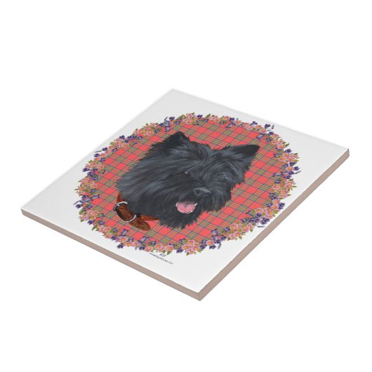 Carreau Black Cairn Head Study (Côté)