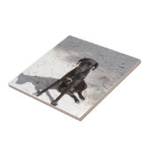 Carreau Black dog avec evil eye (Côté)