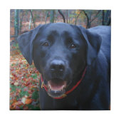 Carreau Black Lab peinture fine d'art de chasser le chien (Devant)