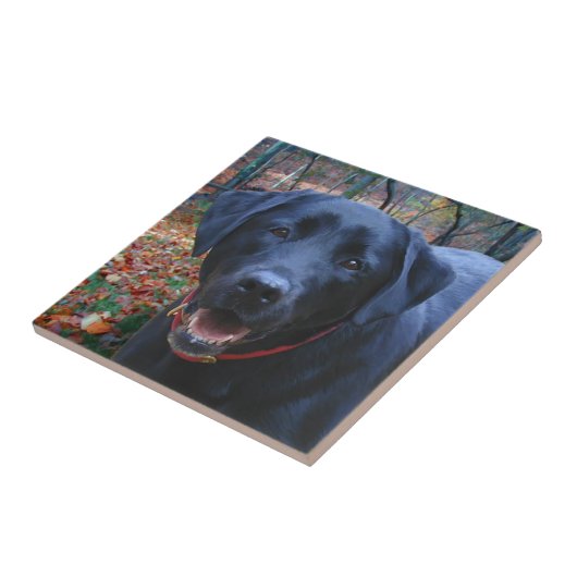 Carreau Black Lab peinture fine d'art de chasser le chien (Côté)