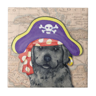 Carreau Black Lab Pirate