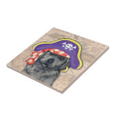 Carreau Black Lab Pirate (Côté)