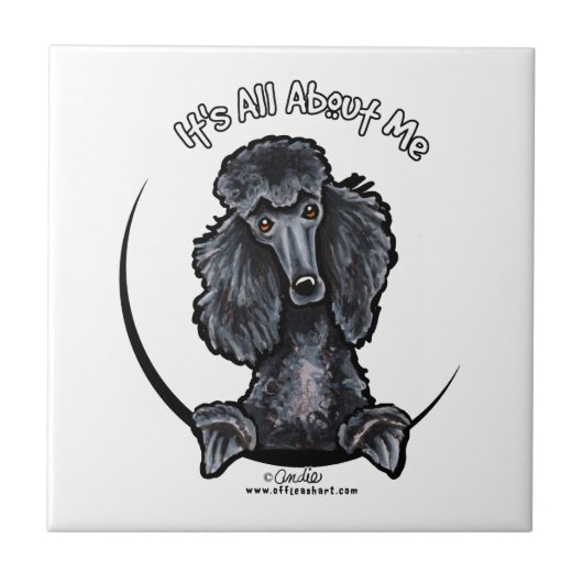Carreau Black Standard Poodle IAAM (Devant)