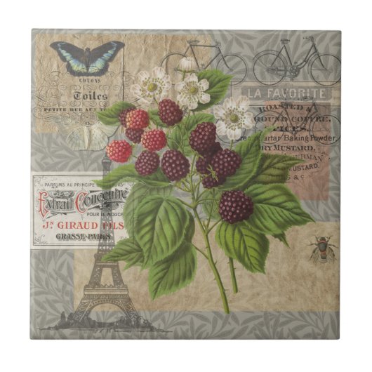 Carreau Blackberries Floral Garden Flower Papillon Art (Devant)
