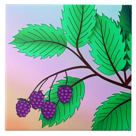 Carreau Blackberries sur une branche (Devant)